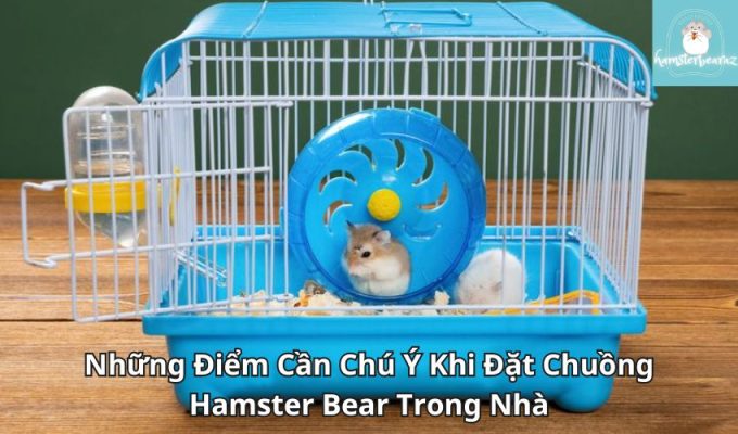 Những Điểm Cần Chú Ý Khi Đặt Chuồng Hamster Bear Trong Nhà