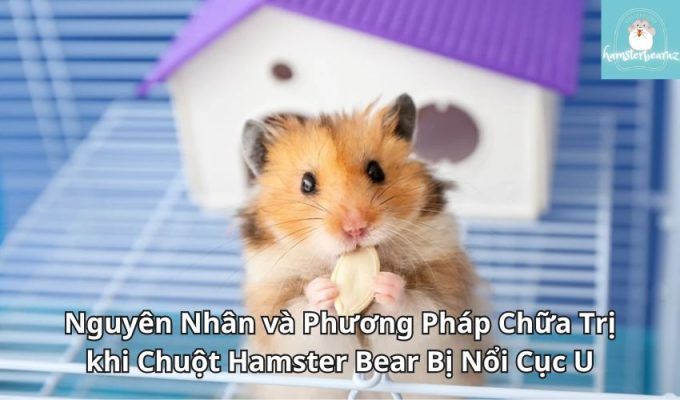 Nguyên Nhân và Phương Pháp Chữa Trị khi Chuột Hamster Bear Bị Nổi Cục U